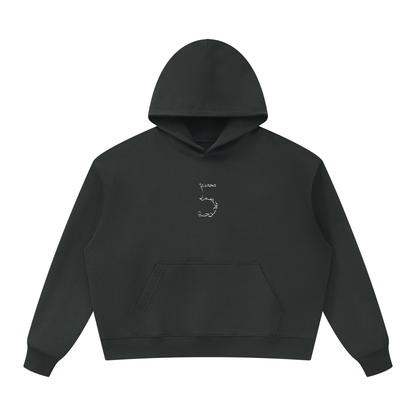 5 Unisex Oversized Heavyweight Hoodie