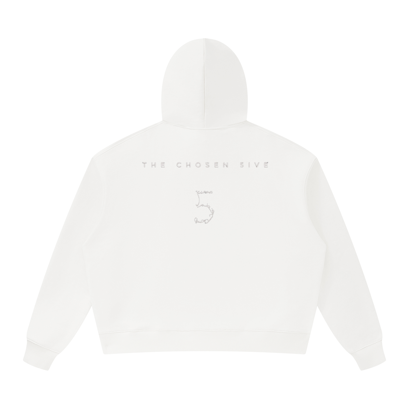 5 Unisex Oversized Heavyweight Hoodie