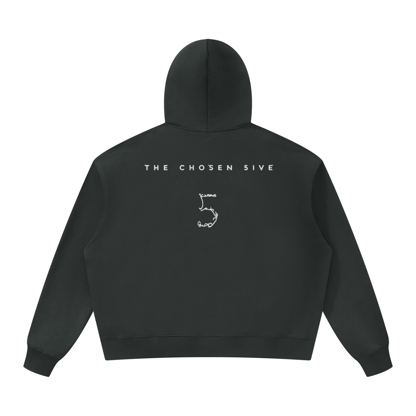 5 Unisex Oversized Heavyweight Hoodie