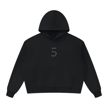 5 Unisex Oversized Heavyweight Hoodie